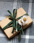 Gift Wrapping